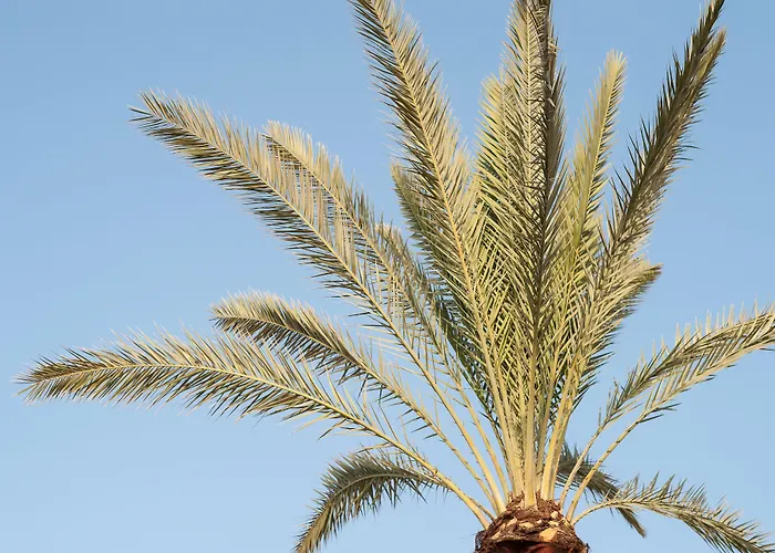 La Maison Ottomane Chania (Crete)