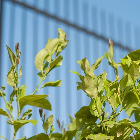 La Maison Ottomane Vendégház Hriszí Aktí Haniá
