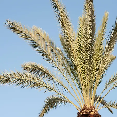 La Maison Ottomane Hriszí Aktí Haniá