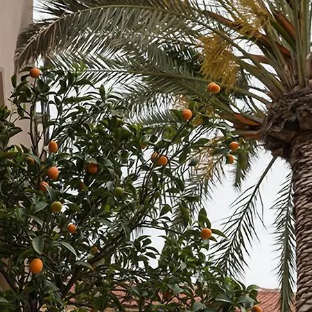 La Maison Ottomane בית הארחה