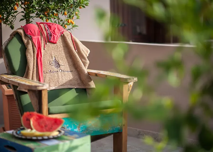 Maison d'hôtes La Maison Ottomane