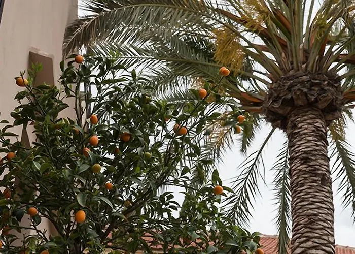 La Maison Ottomane Pensión